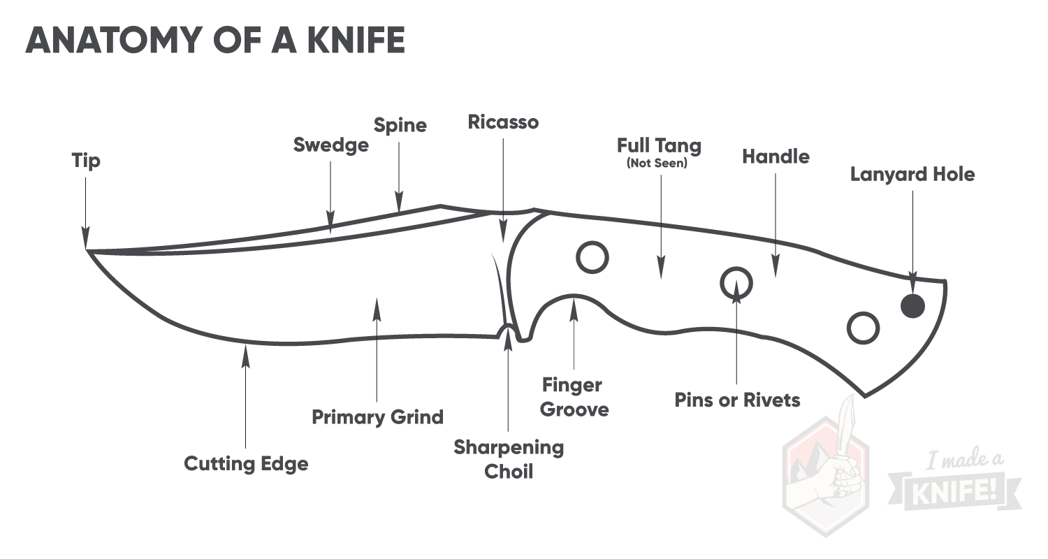 Knife Anatomy 101: Infographic & Terms